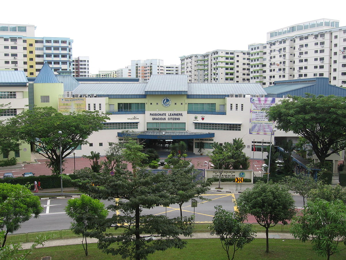 How to choose a primary school